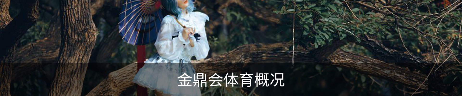 金鼎会体育概况